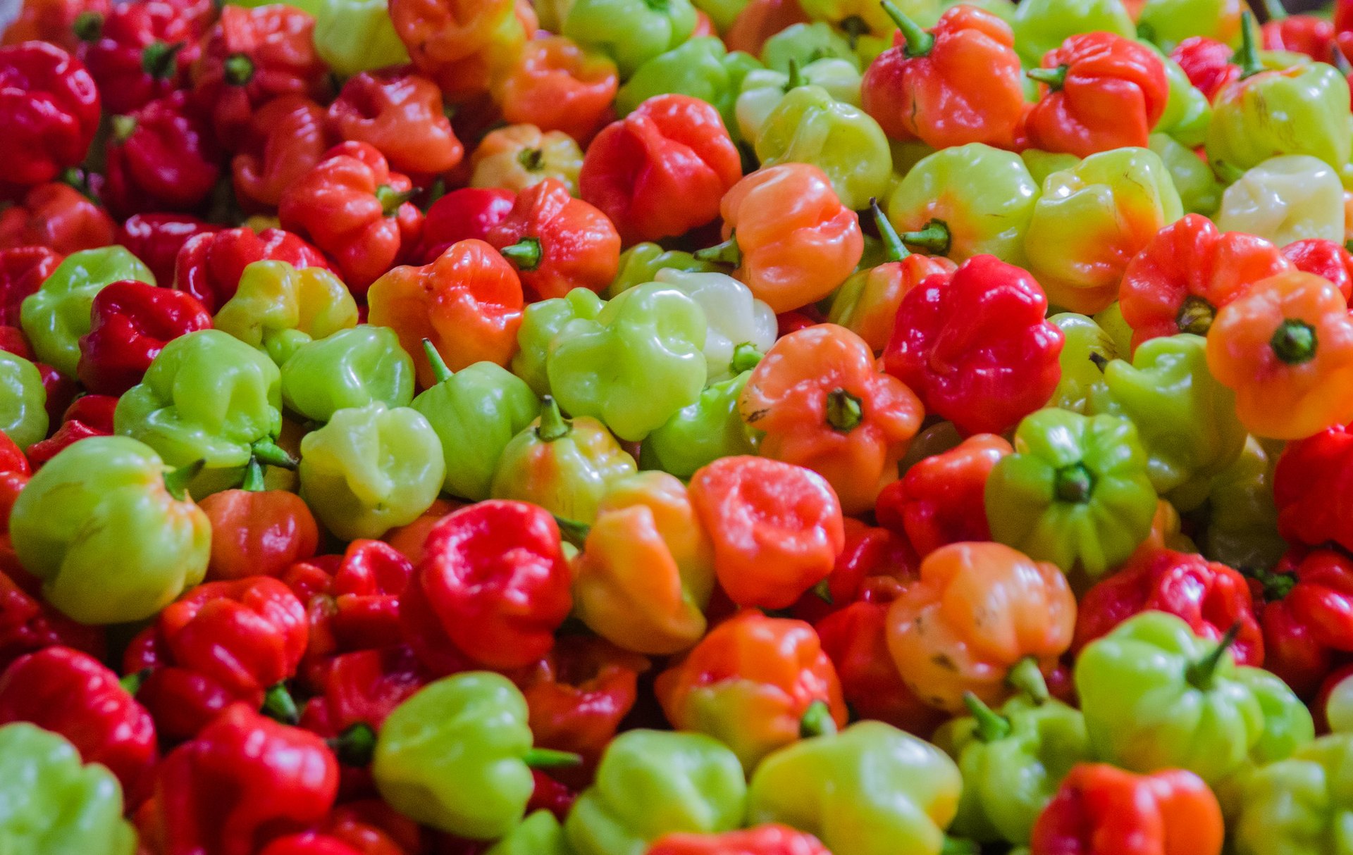 Small, fiery Maldivian chillies, red, orange and green